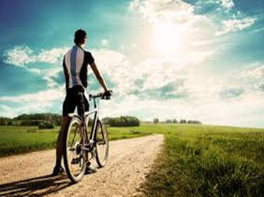 Rent one of our bikes